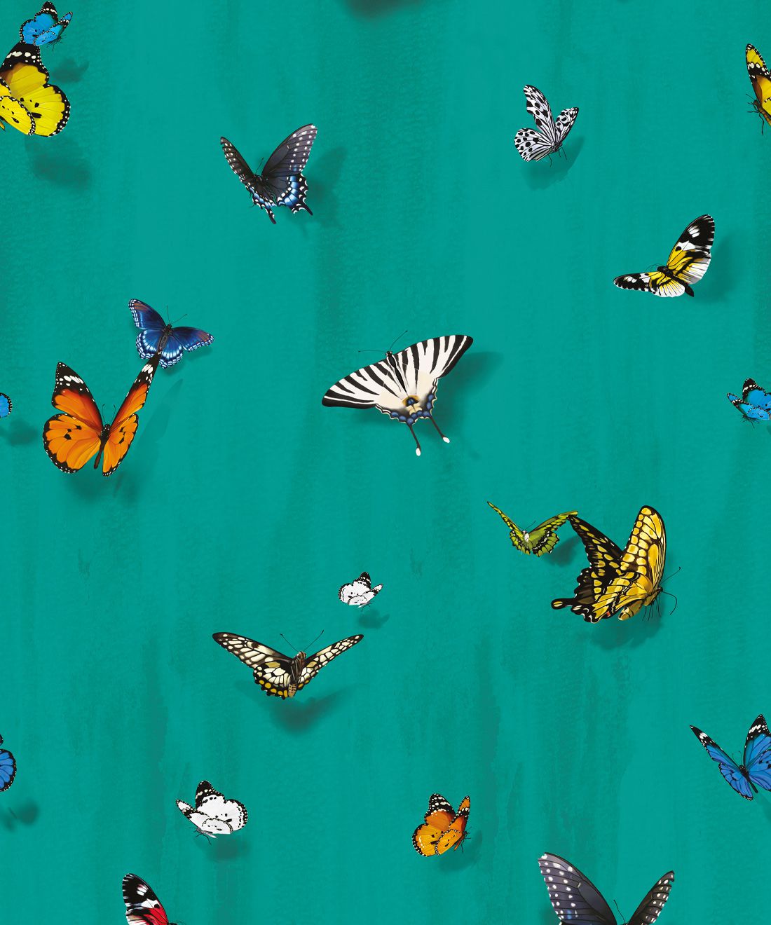 1100x1320  Эстетические обои с бабочками | Обои с бабочками, Обои с бабочками для iphone, Обои с бабочками
