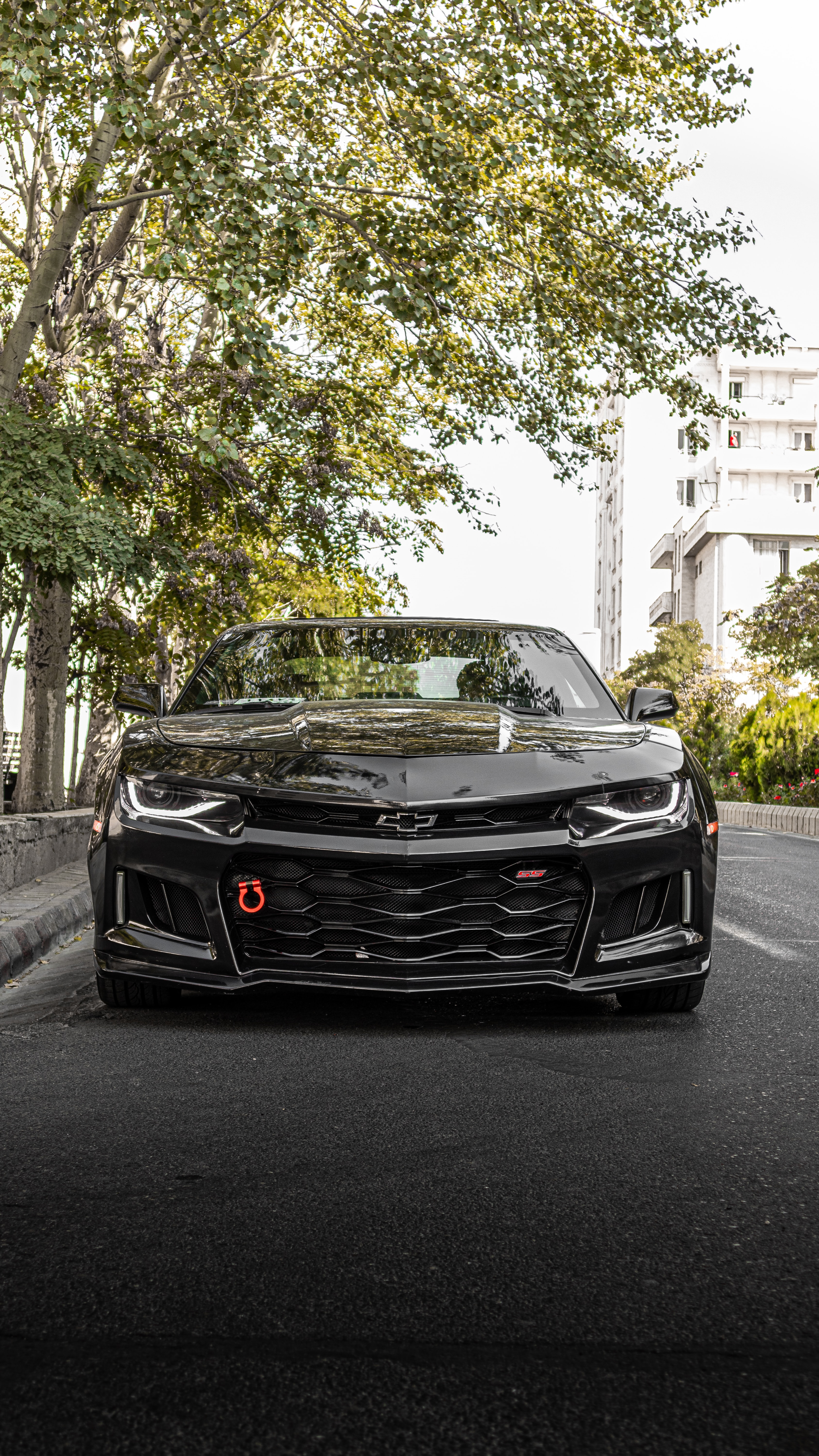 3375x6000  Фотографии Камаро Zl1 | Загрузите бесплатные изображения на Unsplash