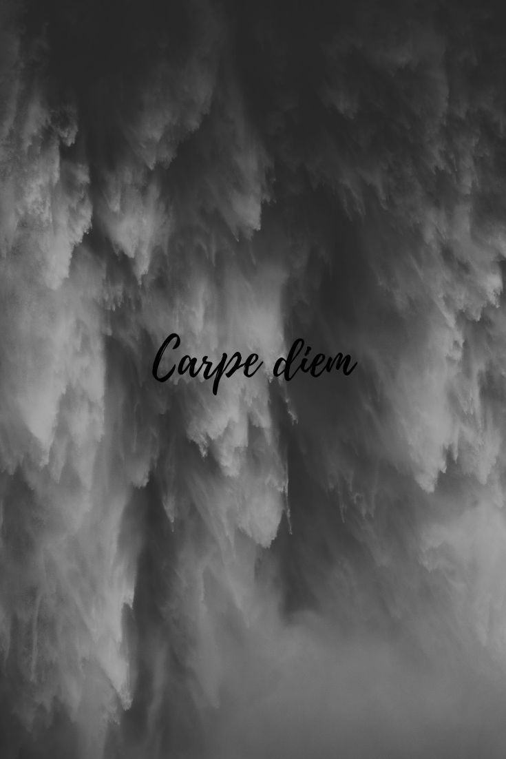 735x1102  Carpe Diem | Carpe diem, Эстетические фильмы, Diem