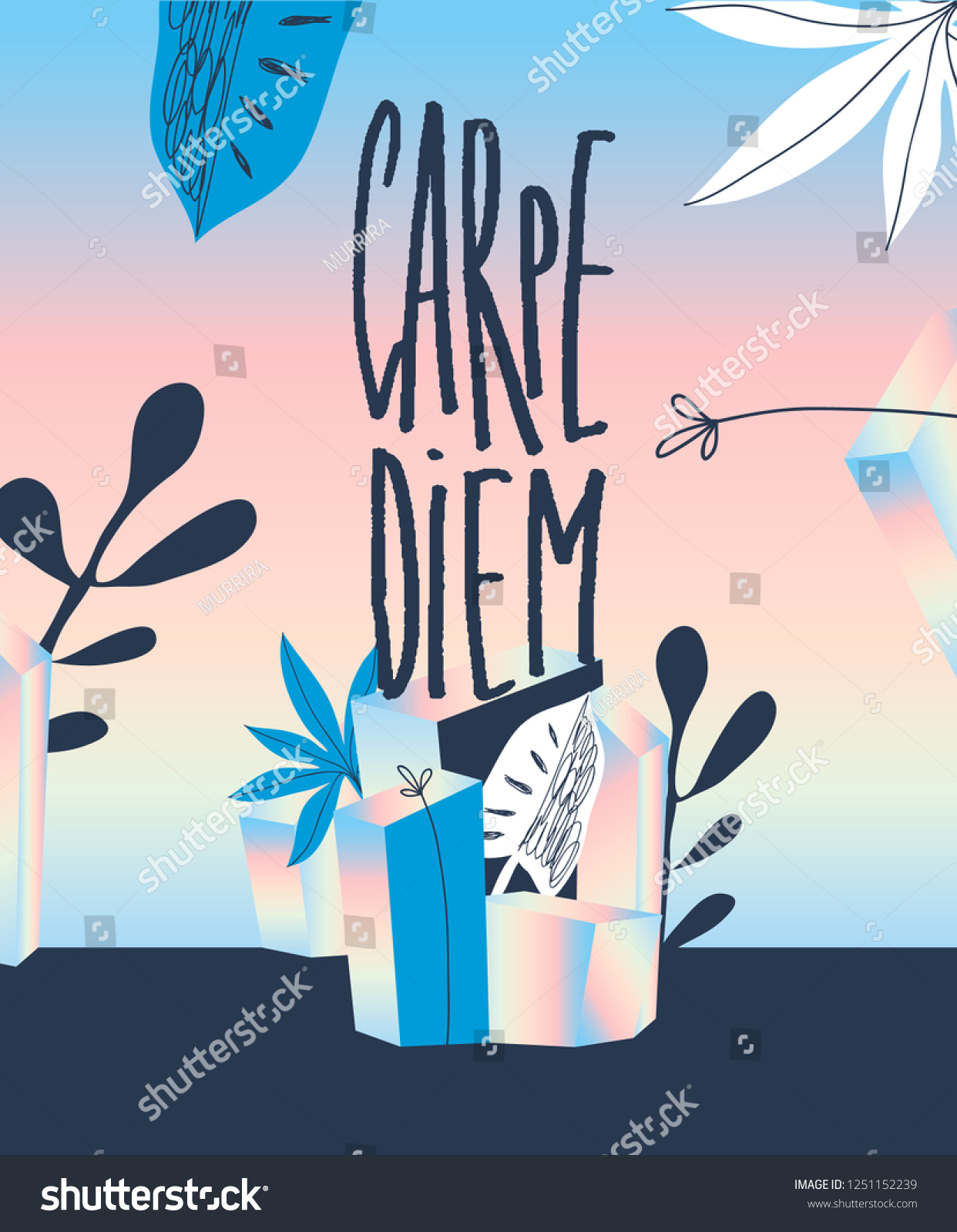 1242x1600  Carpe Diem iPhone HD обои | Pxfuel