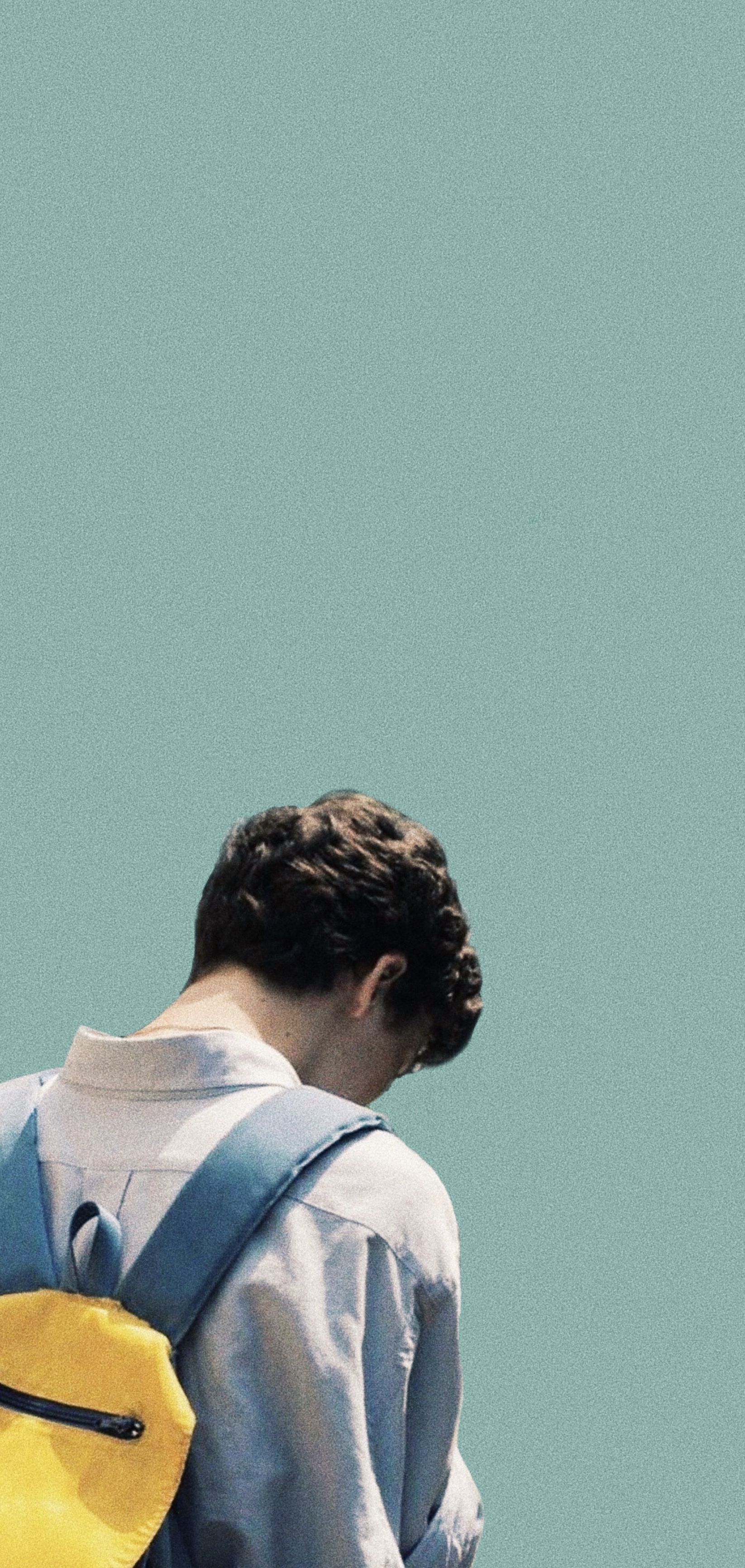 1646x3464  Тимоти Шаламе в CMBYN обои | Обои на телефон, Тимоти Шаламе, Обои