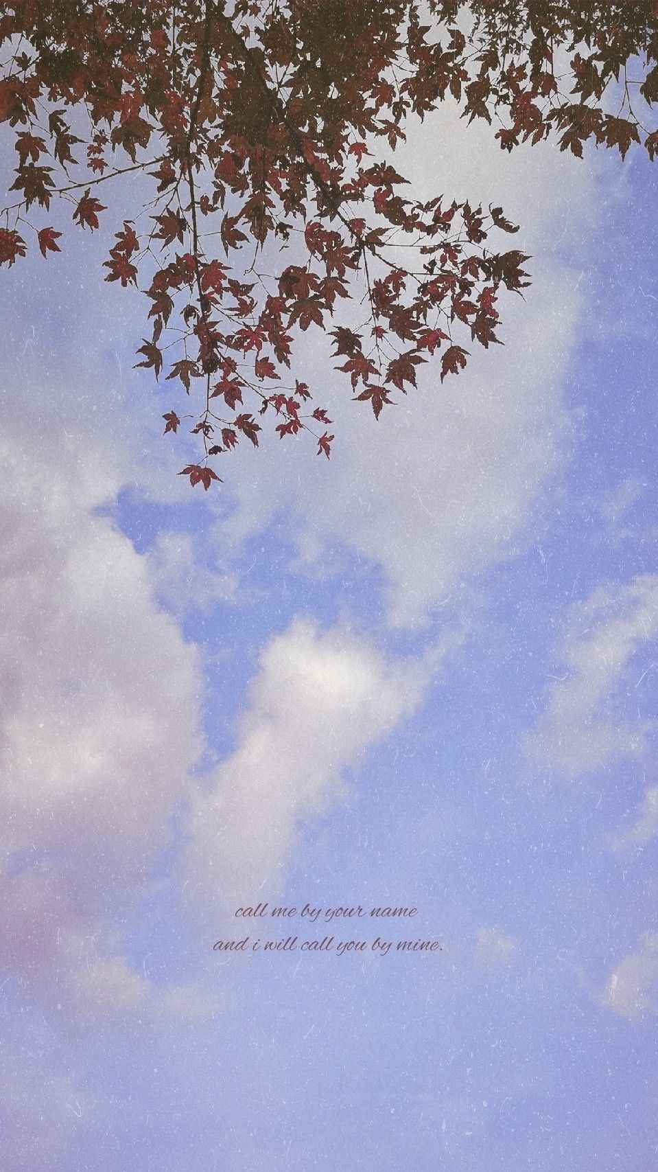 959x1707  Назови меня своим именем Wallpaper | Абстрактные фотографии, Абстрактное, Фотографии
