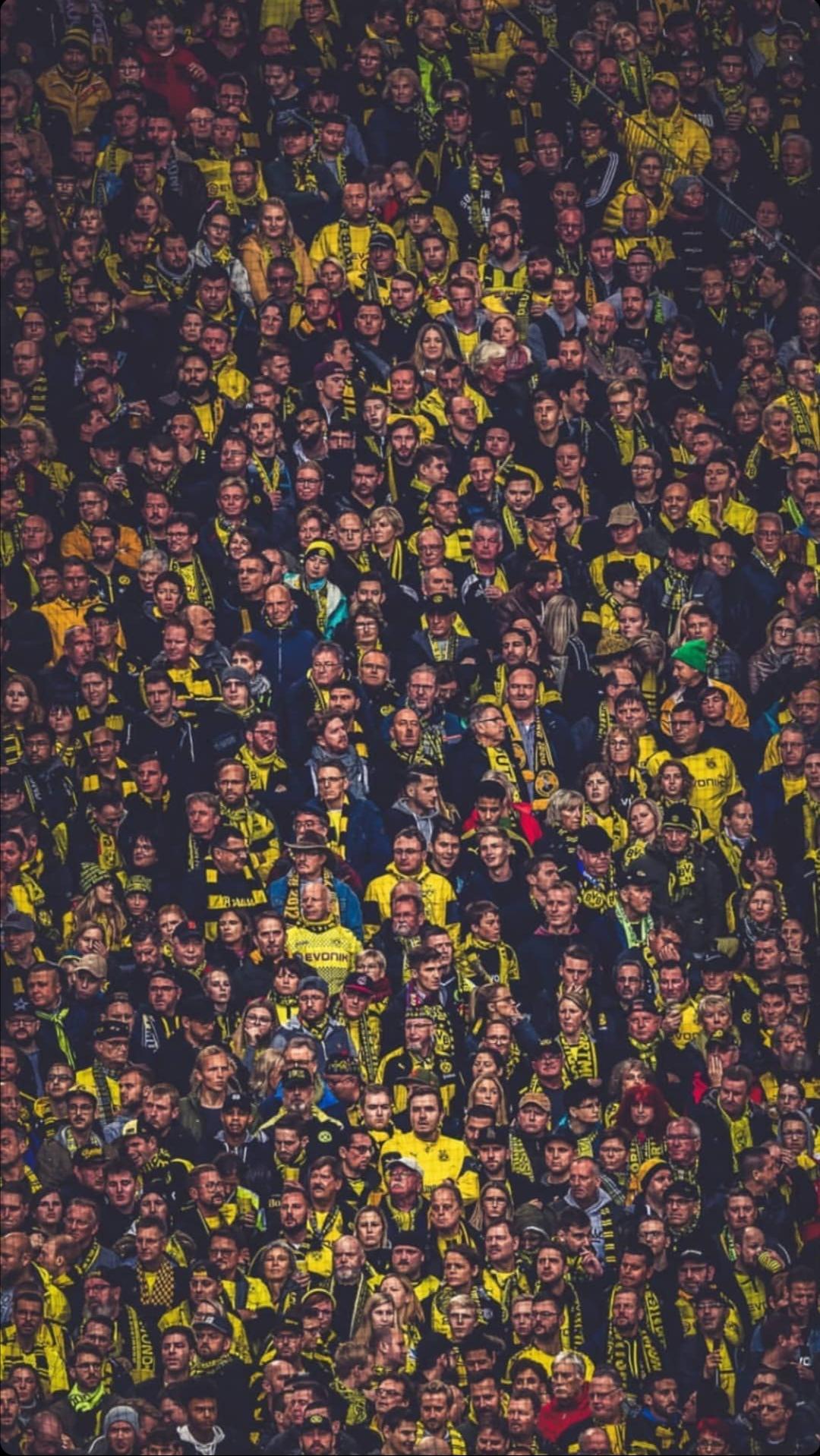 1080x1918  Больше обоев Convolk: r/Convolk