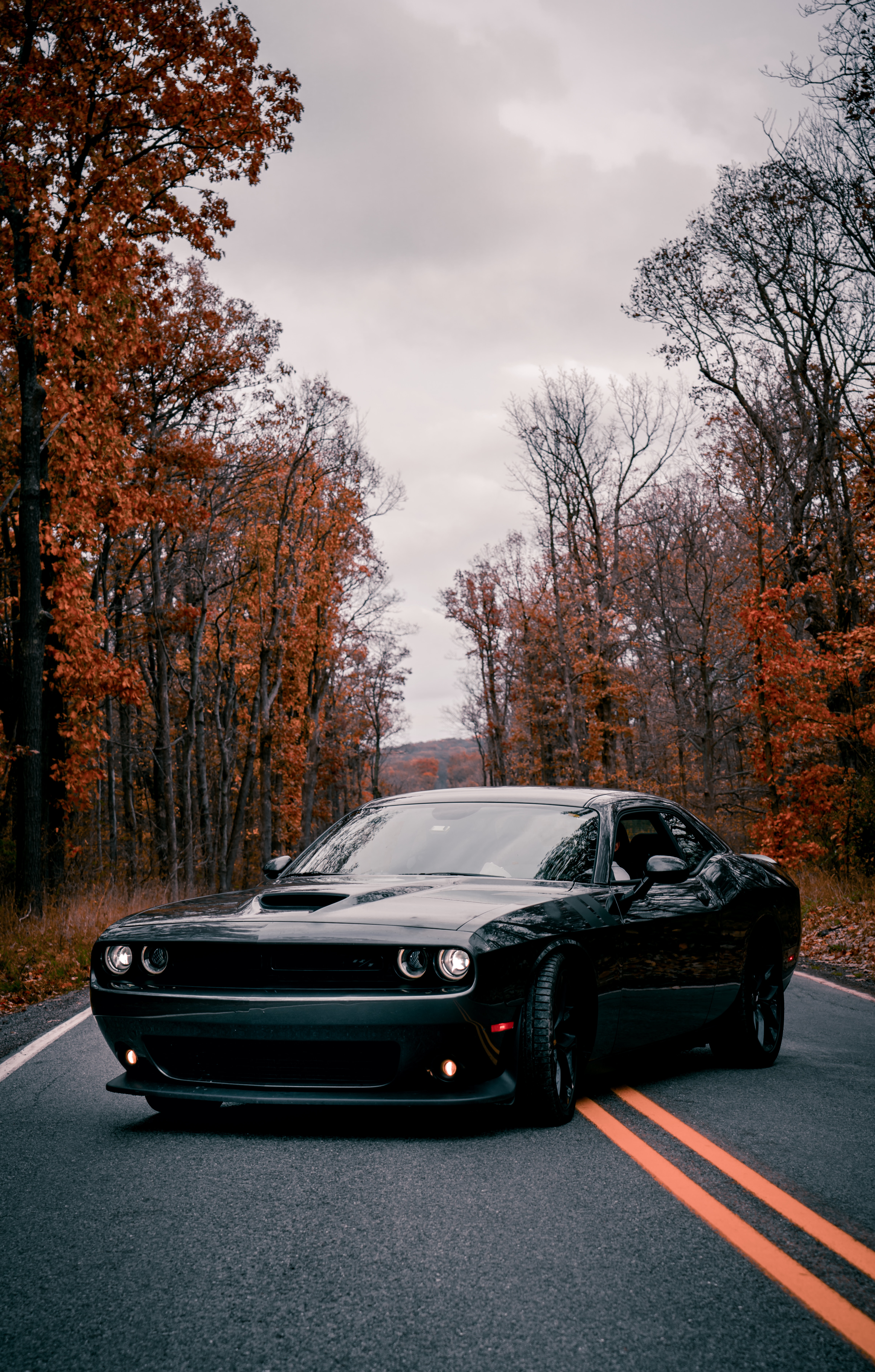 4590x7194  Более 1000 фотографий Dodge Challenger | Загрузите бесплатные изображения на Unsplash