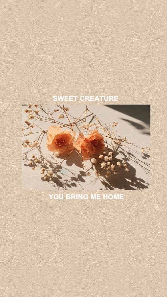 675x1200  Free скачать Nestle KitKat шоколадные батончики шоколад HD обои Обои Flare [3000x1688] для рабочего стола Мобильный \ u0026 Tablet | Изучите 26+ обоев Нестле | Nestlé Wallpaper