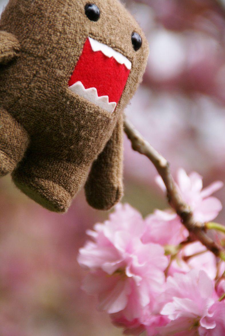 787x1175  Домо Кун Обои Розовый - Wallpaper Cave