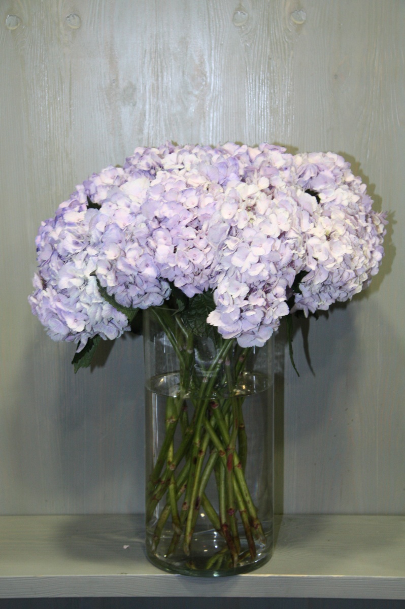 798x1200  Букеты на день рождения Подруге — купить цветы в интернет-магазине с  доставкой по Москве