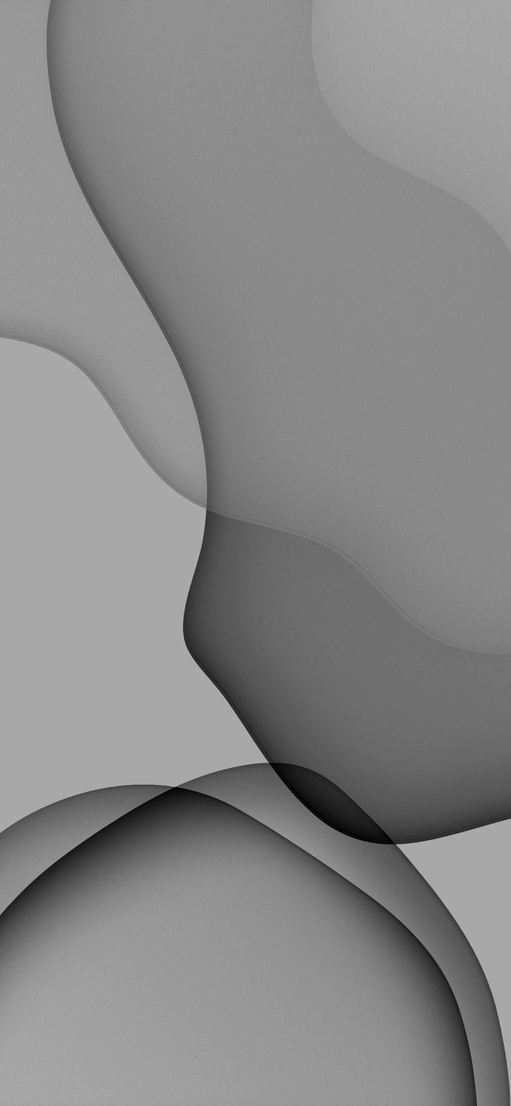 736x1593  Обои ФРАНКО АРМАНИ от Sheedits — Скачать на ZEDGE™ | edc3