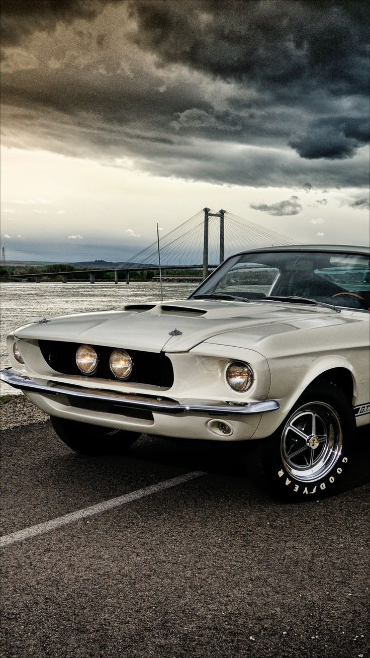 736x1308  Мустанг в 2023 году | Обои Mustang iphone, Мустанг Шелби, Обои Мустанг