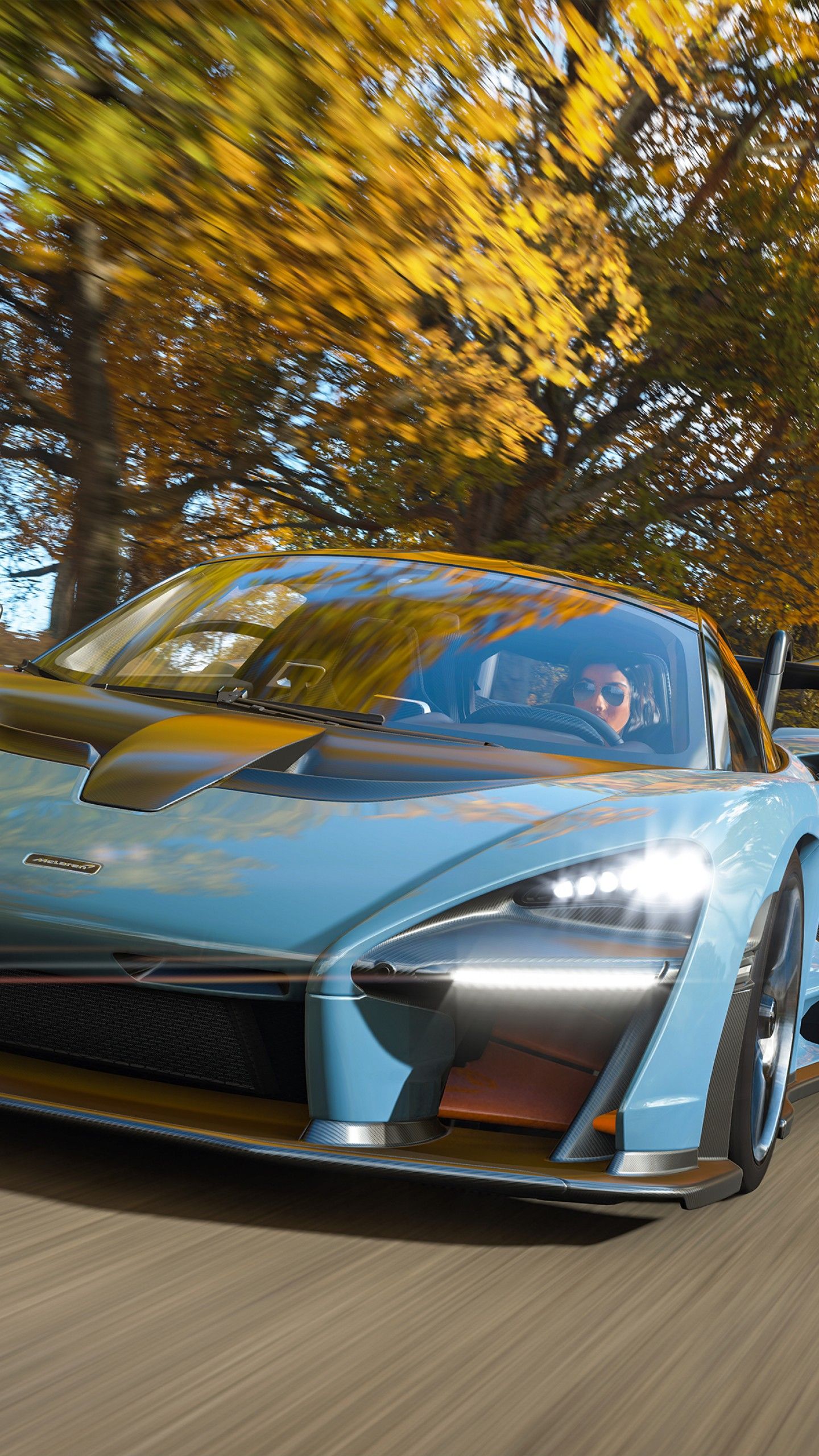 1440x2560  Обои для Android Forza Horizon 4 — Пещера обоев