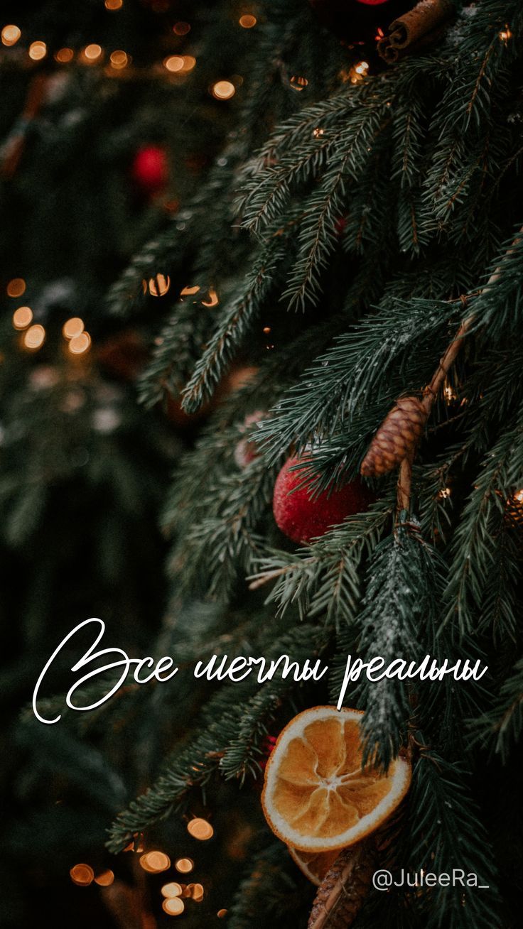 736x1308  Зимние картинки. Уютные цитаты. Обои на телефон. Идеи сторис. | Зимние  картинки, Рождественские пейзажи, Фоновые рисунки