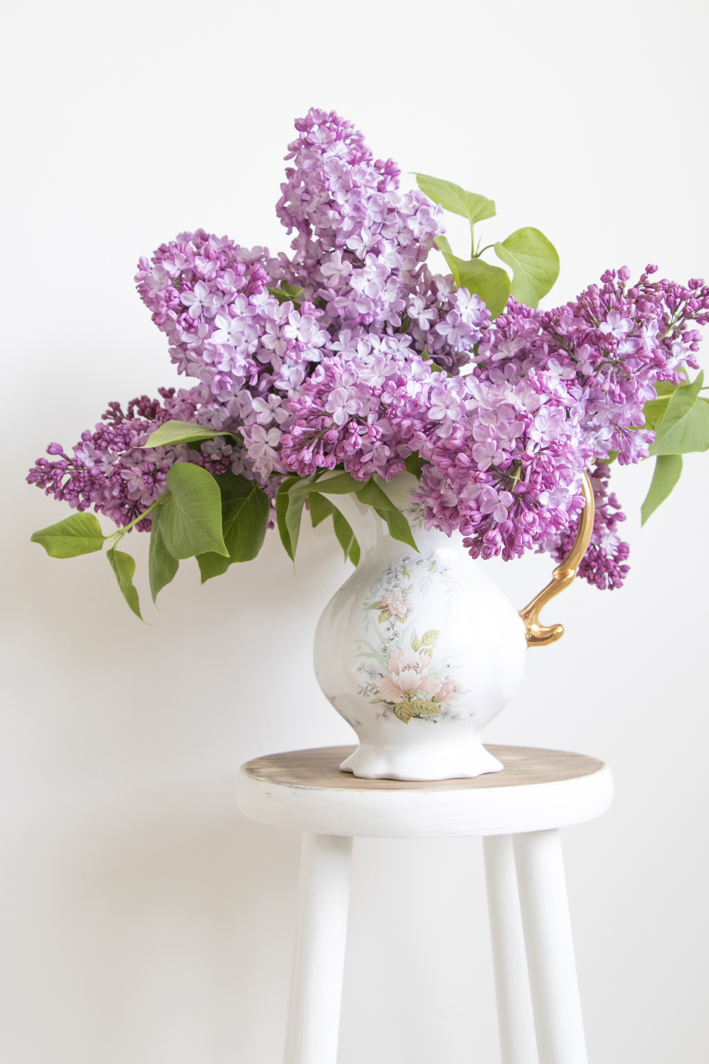 2400x3600  Обои для рабочего стола букет Сирень цветок Ваза Белый фон 2400x3600