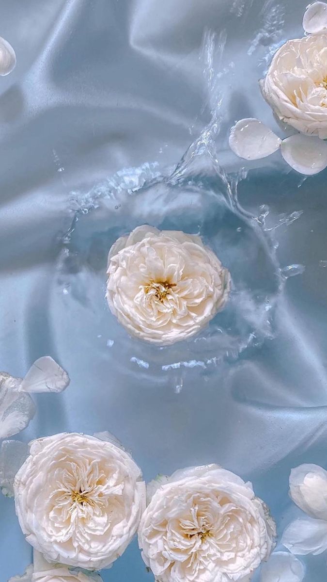 675x1200  author unknown // #обои #обоинателефон #обоидлятелефона #море #океан #вода  #sea #ocean #water #ц… | Baby blue aesthetic, Blue aesthetic pastel, Light  blue aesthetic