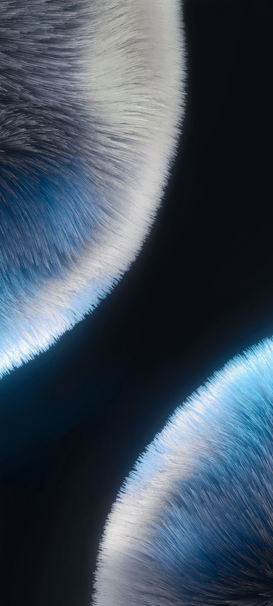 1080x2400  Asus ZenFone 10 Stock Wallpaper в 2023 г | Обои для телефона, Обои фоны,  Фоны для iphone