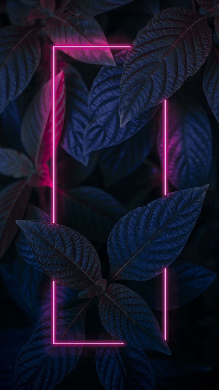 736x1308  Обои на телефон | Neon wallpaper, Galaxy wallpaper, Neon light wallpaper