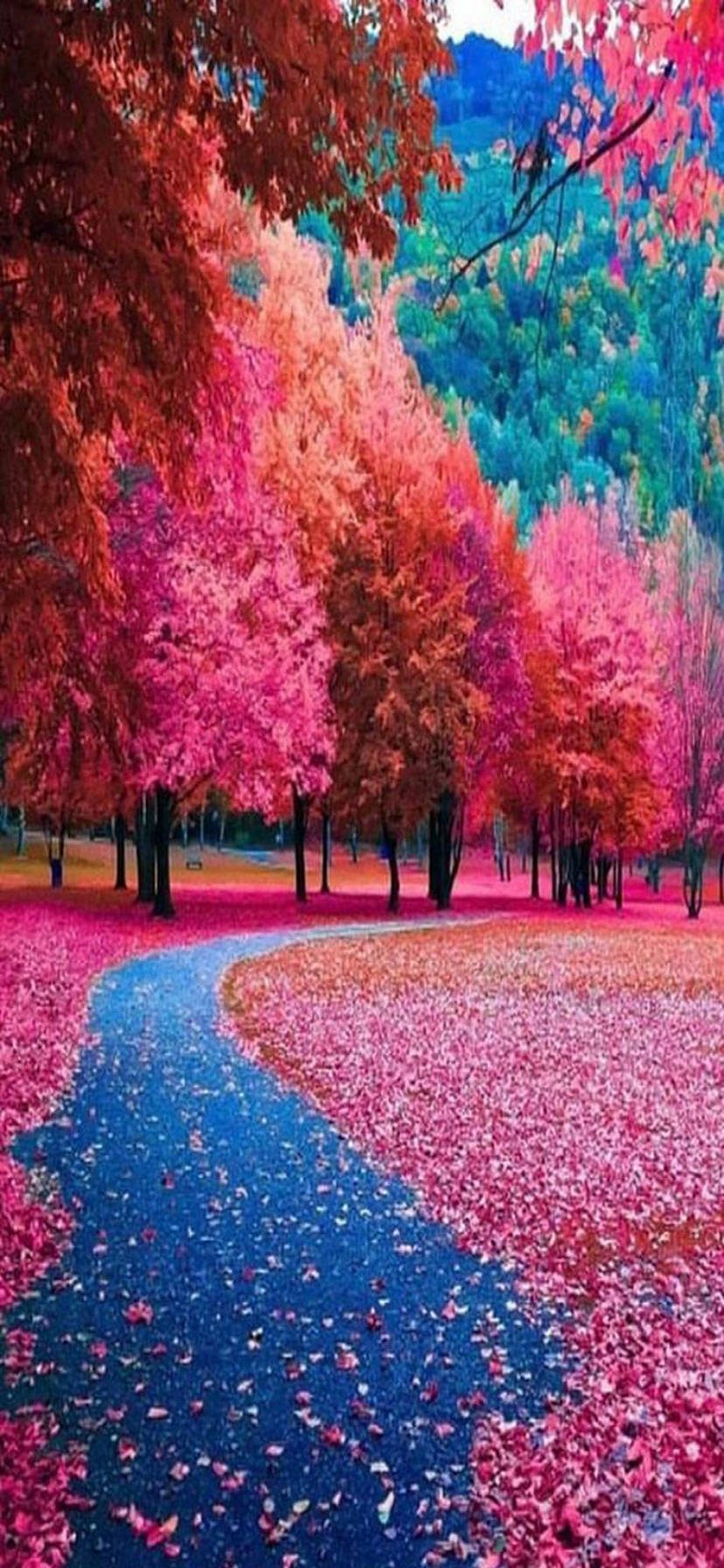 828x1792  Соаве Интермеццо | Лучшие фоновые изображения, Синие фоновые изображения, Размытый фон