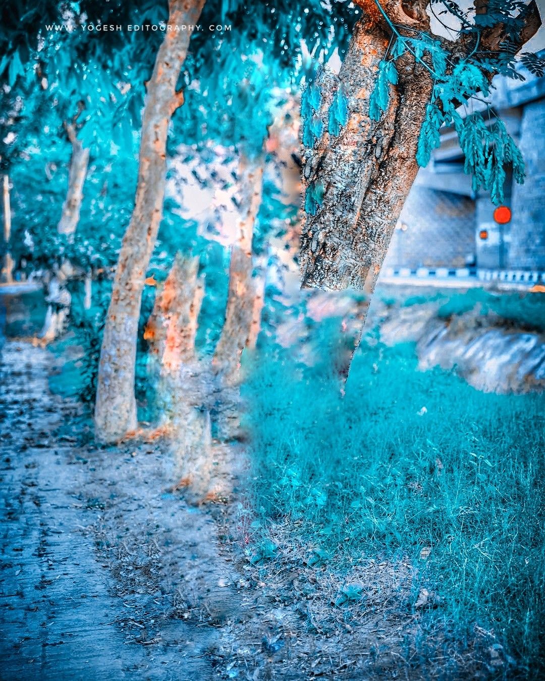 1080x1349  Лучший фон для редактирования фотографий | Фотофоны, Светлые фоновые изображения, Пляжные фоны