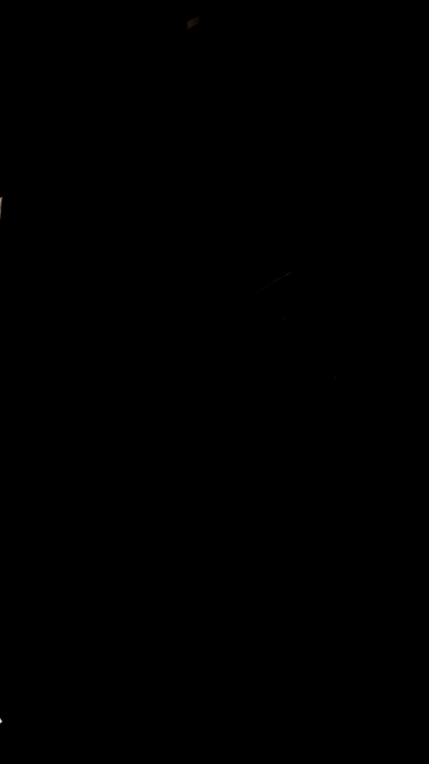 1440x2560  Чисто черные обои на телефон - 69 фото