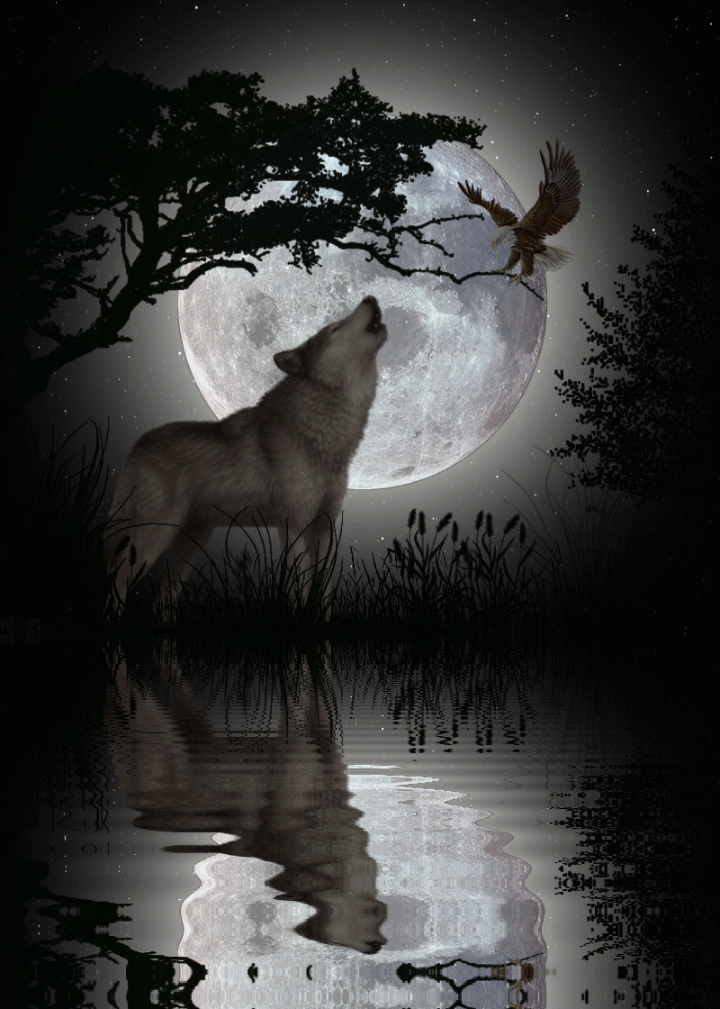 800x1120  Гифки воющих волков - 70 анимированных изображений | USAGIF.com