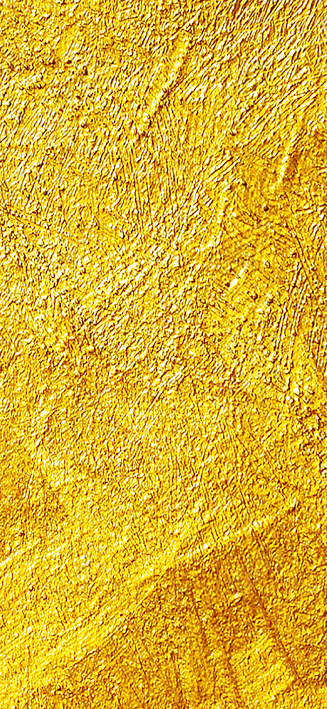 650x1407  Золотые обои на WallpaperDog