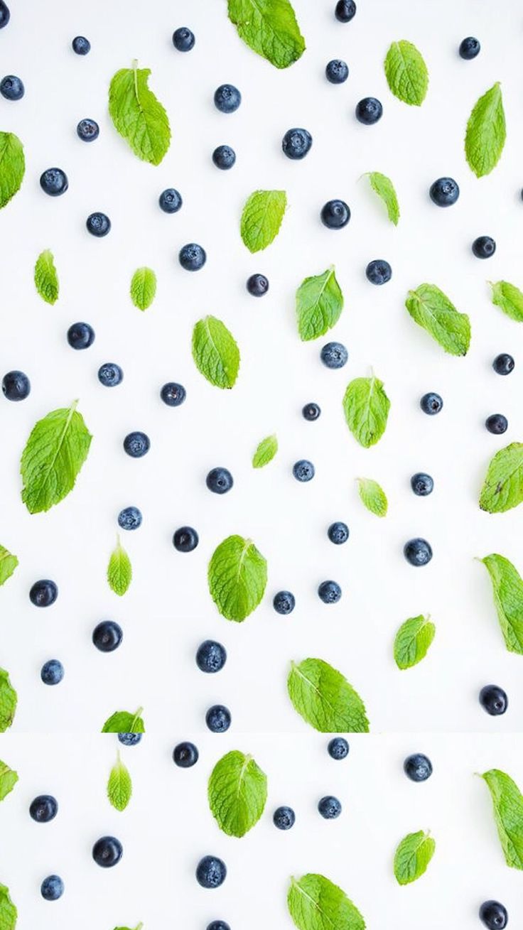 736x1309  Бело-зеленые листья черники фрукты гурман iphone телефон обои фон экрана блокировки | Arkaplan tasarımları, Desenler, Duvar kağıtları