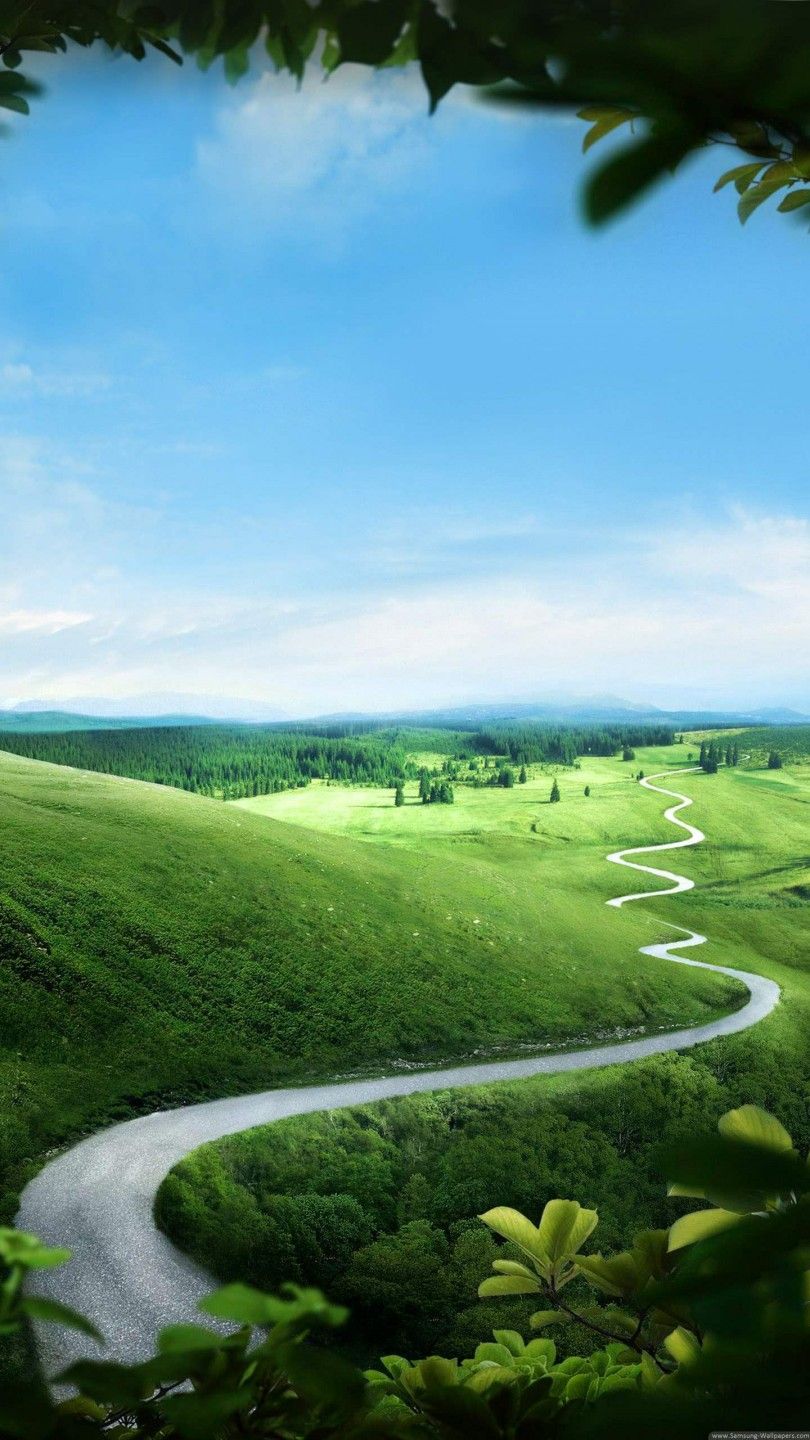 810x1440  Скачать обои «Зеленый экран» для iPhone X | Обои.com