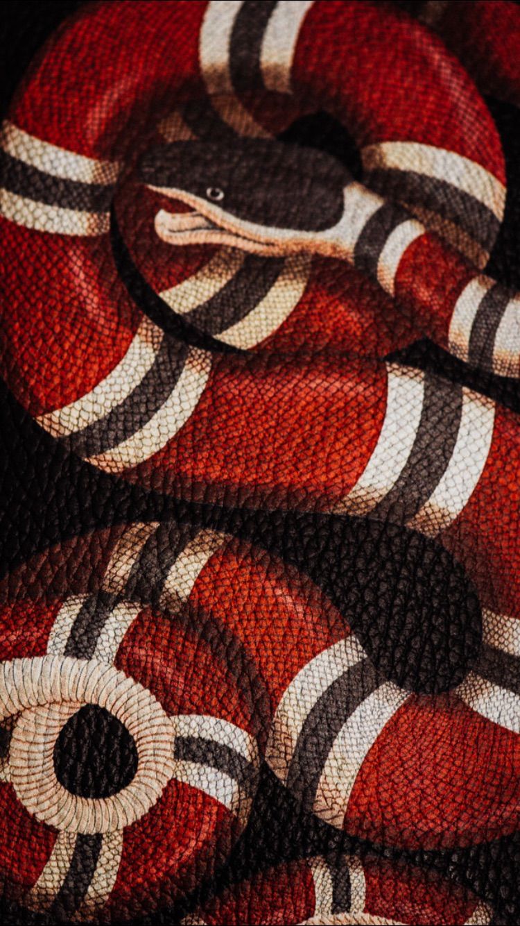 750x1334  Gucci lockscreen | Gucci wallpaper iphone, Snake wallpaper, Hypebeast  wallpaper