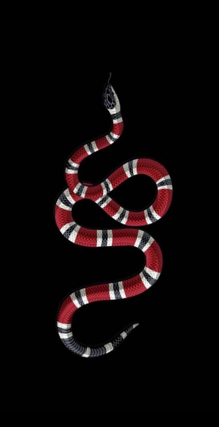 736x1429  GUCCI ОБОИ | Snake wallpaper, Iphone wallpaper rock, Black aesthetic  wallpaper