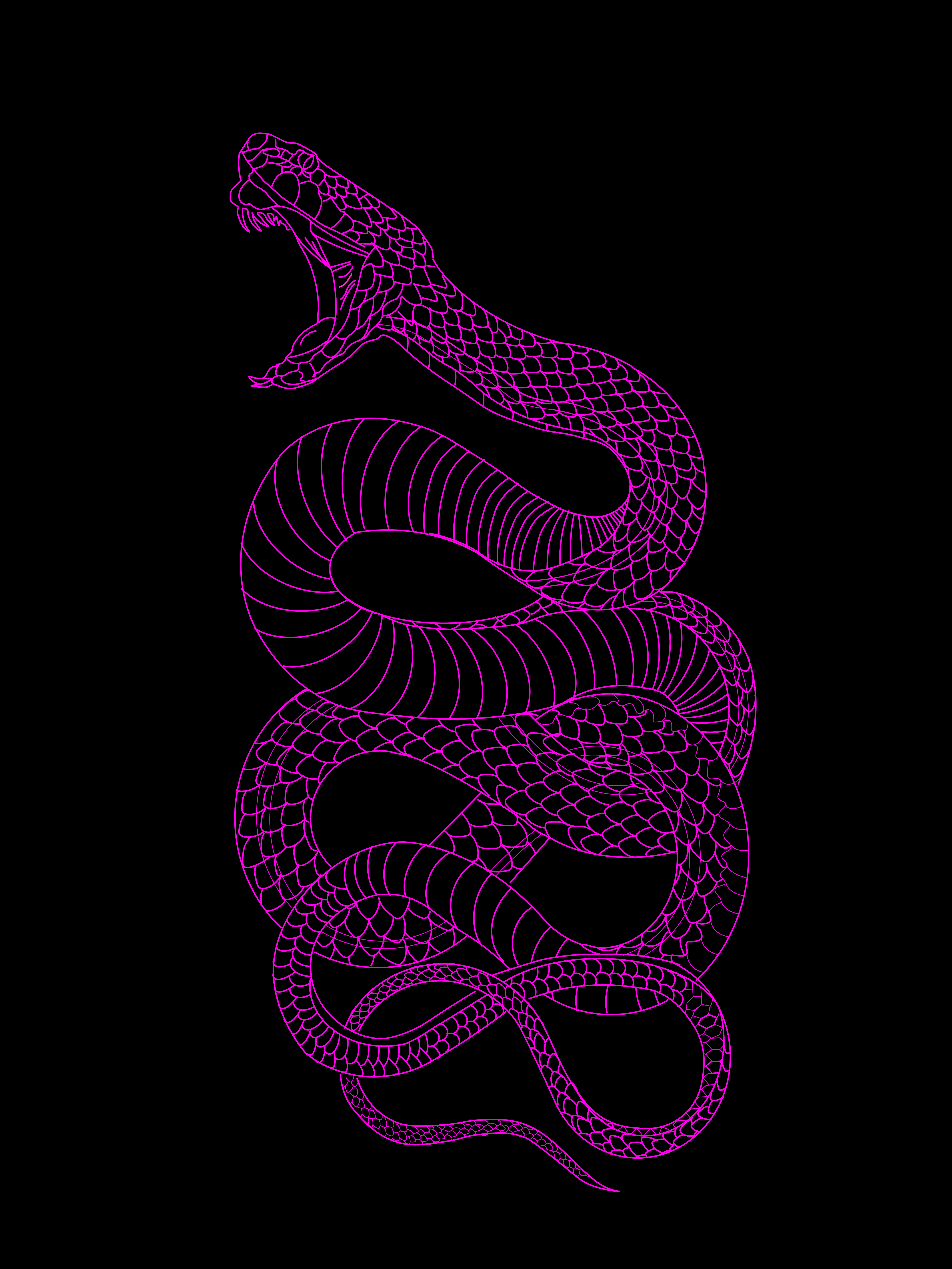 5400x7197  Картинки красивых змей на заставку телефона - 68 фото