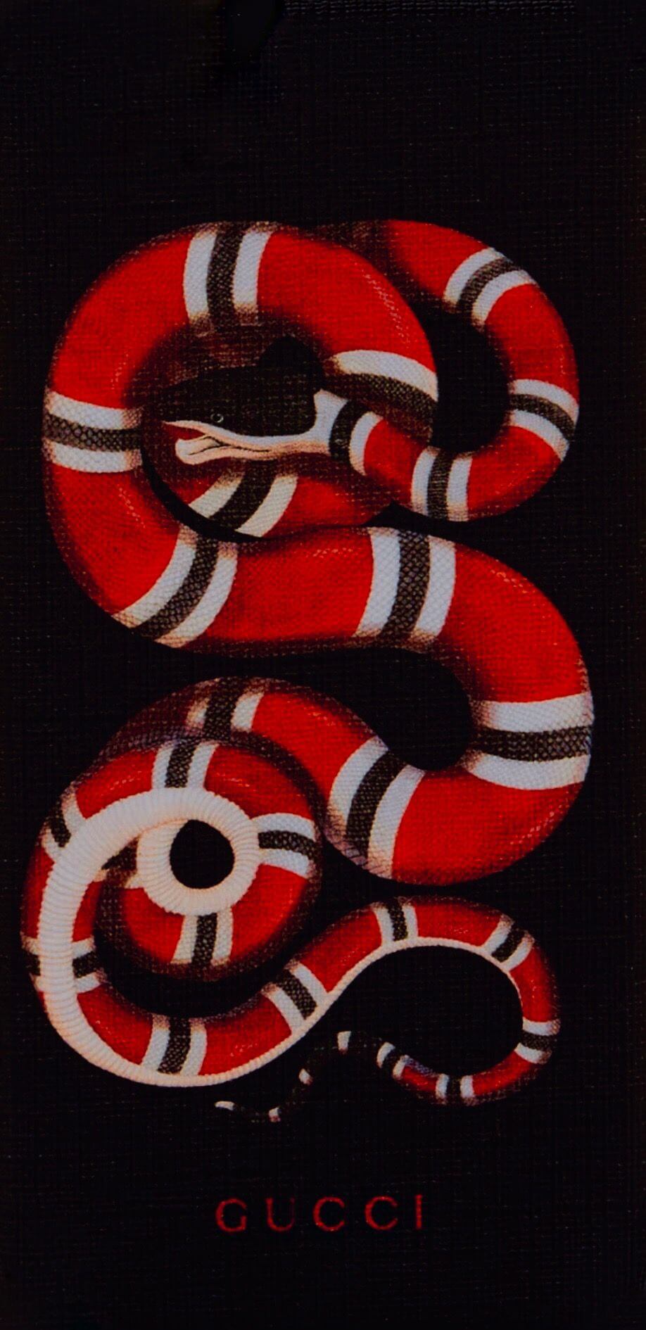 918x1890  Змея Гуччи обои