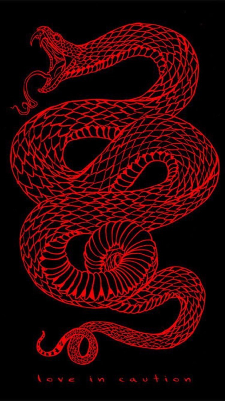750x1334  Черная змея обои на телефон - 58 фото