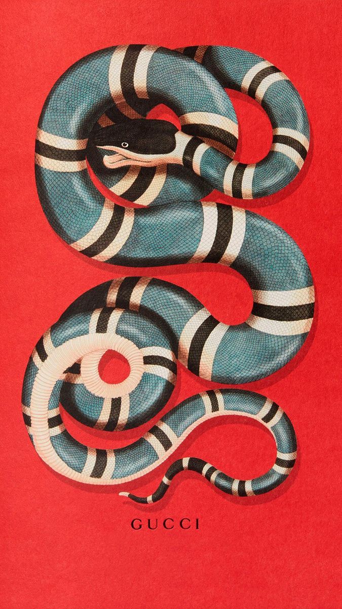 675x1200  Пин от пользователя Andrea Loureiro на доске Cobras в 2023 г | Рисунки,  Милые рисунки, Искусство иллюзии