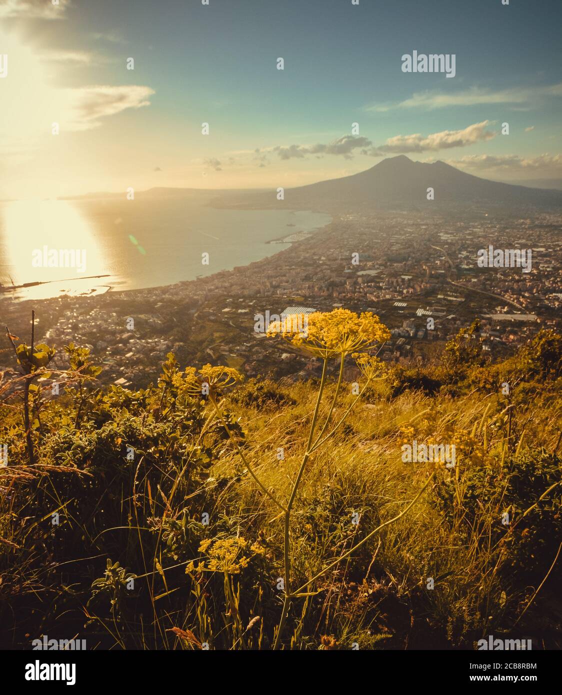 1124x1390  Скачать 800x1420 океан, залив, побережье, голубая вода, сирень, вечер обои, картинки iphone se/5s/5c/5 for parallax