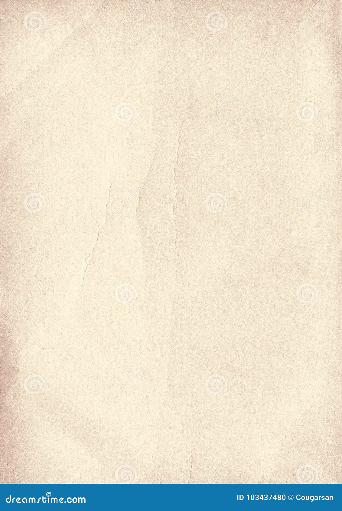 1131x1690  Стандартные обои Vivo X Fold 2 в 2023 году | Android обои природа, стоковые обои, обои