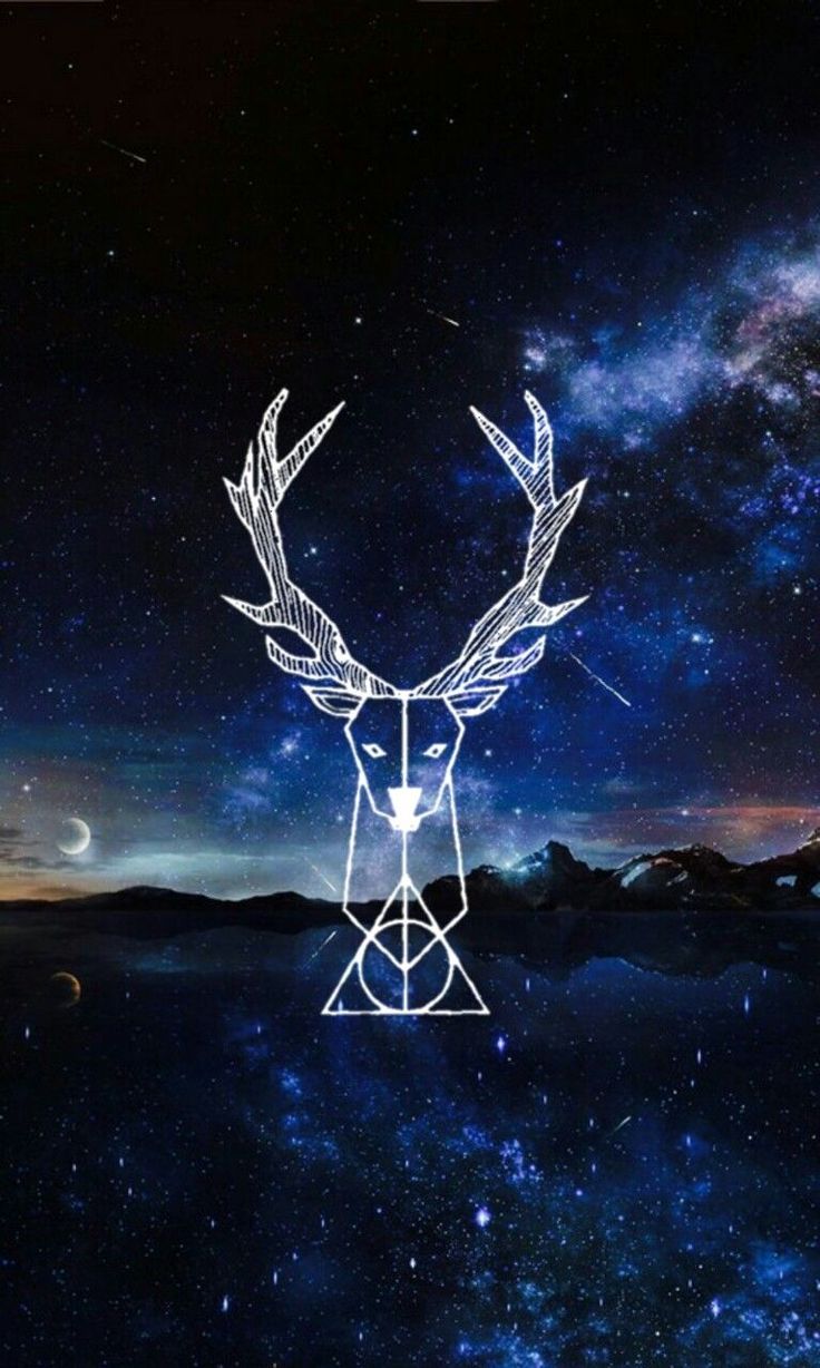 736x1228  Специальное предложение🌟: Обои Гарри Поттер 🎩✨🪄