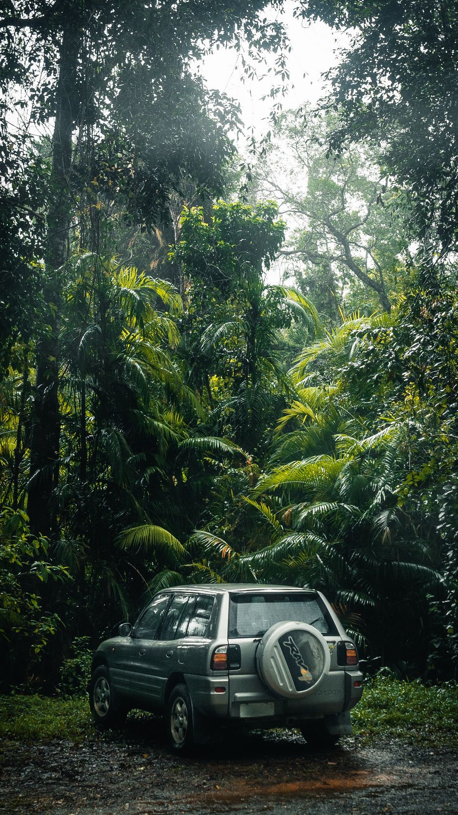 938x1668   Скачать обои 938x1668 toyota rav4 / toyota suv jungle 7s / iphone / toyota suv jungle 7s / iphone 6 для параллакса HD фона 