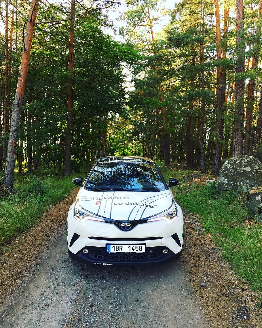 910x1138  HD обои: белый автомобиль экологичный зеленый внедорожник лес toyota c-hr | Обои Flare