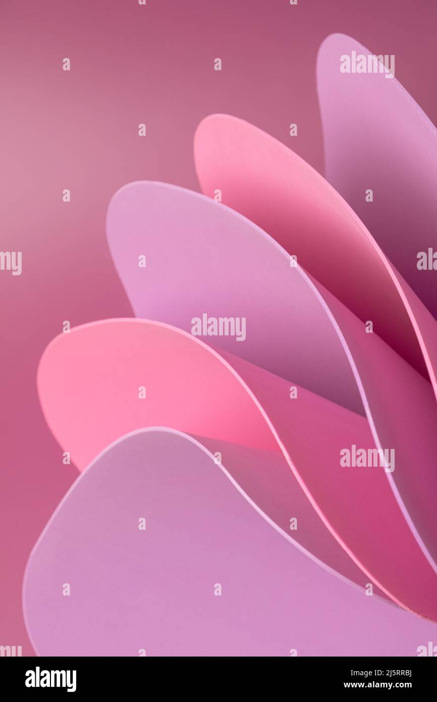 866x1390  Фиолетовые цветы с каплями воды на черном фоне 4K HD Фиолетовые обои | HD-обои | ID №67406