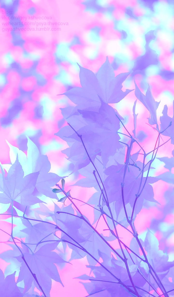 720x1225  изображение описано для 𝐆𝐄𝐘𝐀 𝐒𝐇𝐕𝐄𝐂𝐎𝐕𝐀 👣. Опиши (¡y Guarda!) нашу собственность… | Обои для рабочего стола, Розовые обои для iphone, Милые обои для телефона