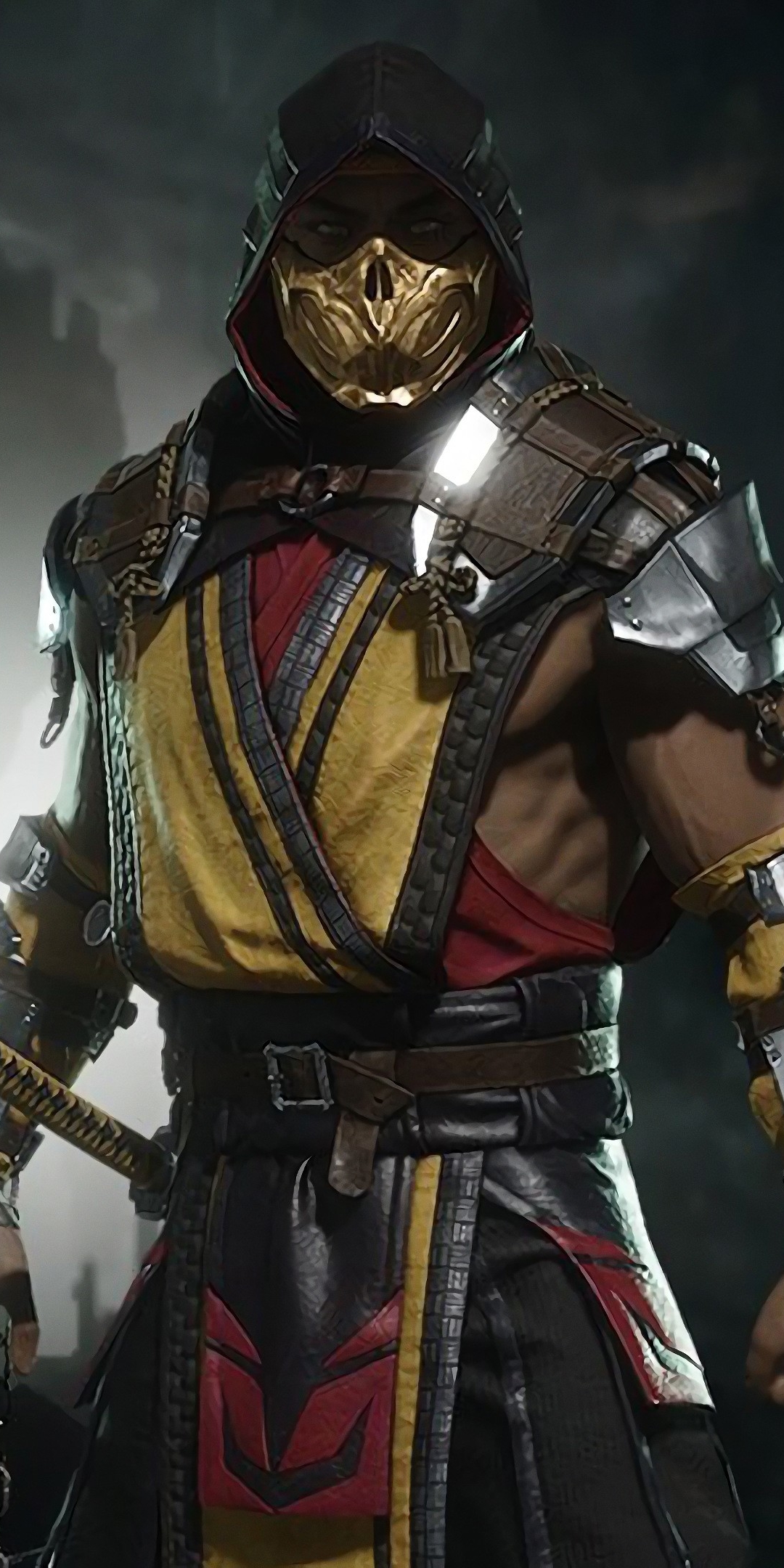 1080x2160  Обои на телефон: Видеоигры, Скорпион (Смертельная Битва), Смертельная Битва  11, 1328664 скачать картинку бесплатно.