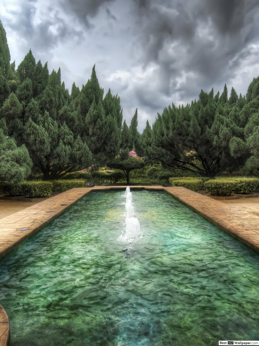 900x1200  Красивые обои для телефона! В этой статье прохладно, заходи! |  Снейпоманка^_^ | Дзен