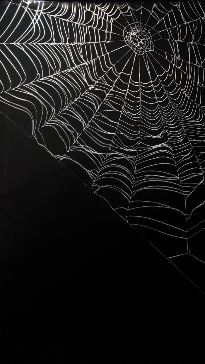 700x1242  Паутина жизни: истории из жизни, советы, новости, юмор и картинки — Горячее  | Пикабу