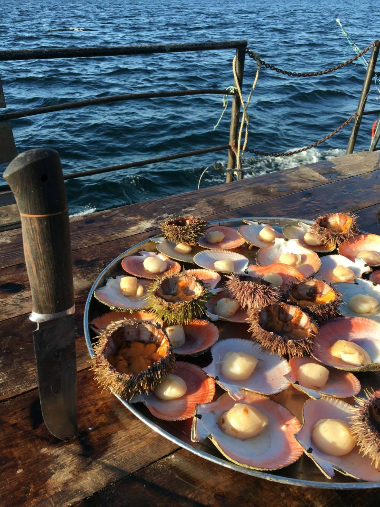 1280x1707  Путешествие в Териберку — Китовая разведка