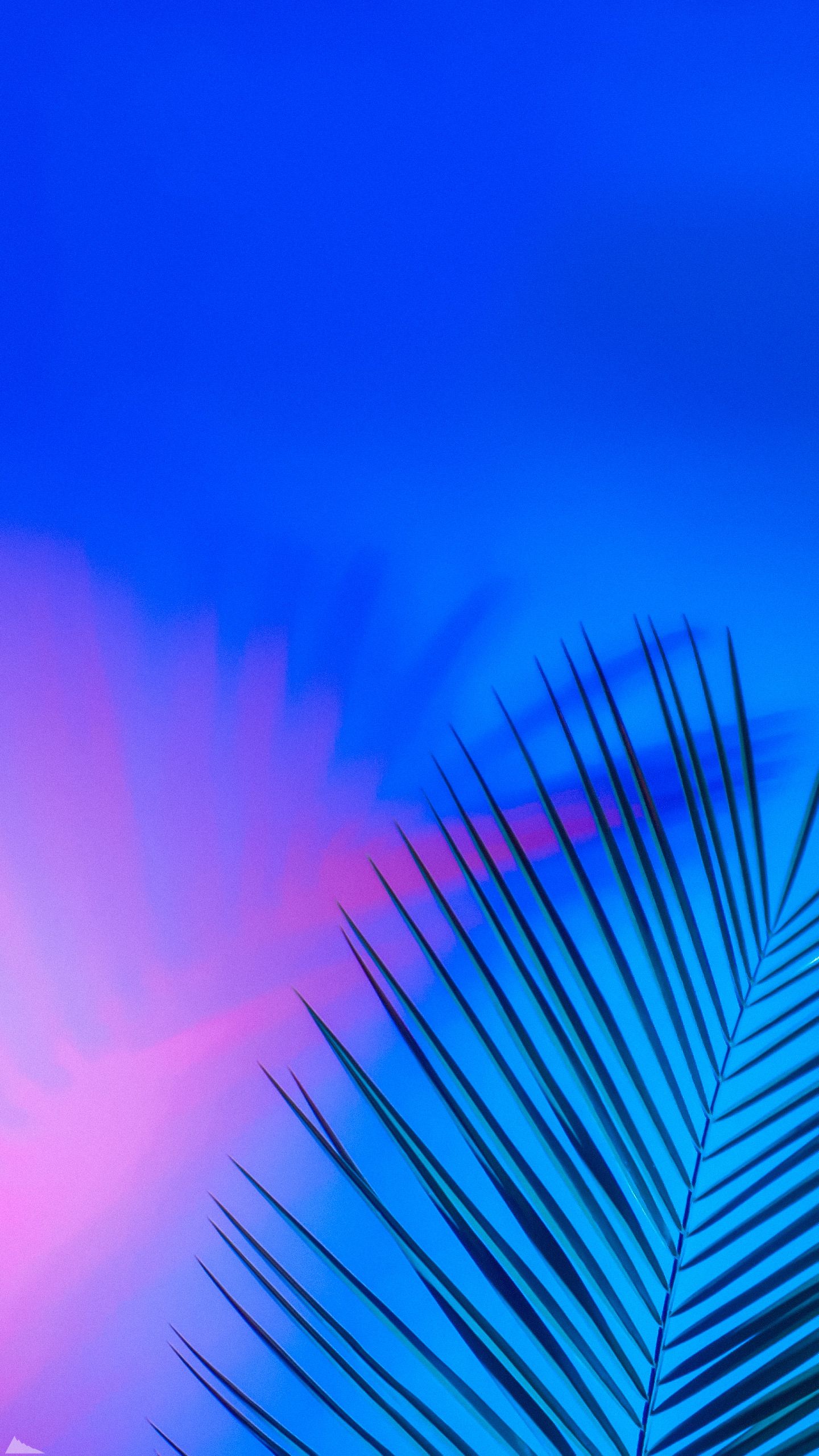 1440x2561  Обои для телефона в HD качестве | Пейзажи, Ткань фон ткани, Голубой неон