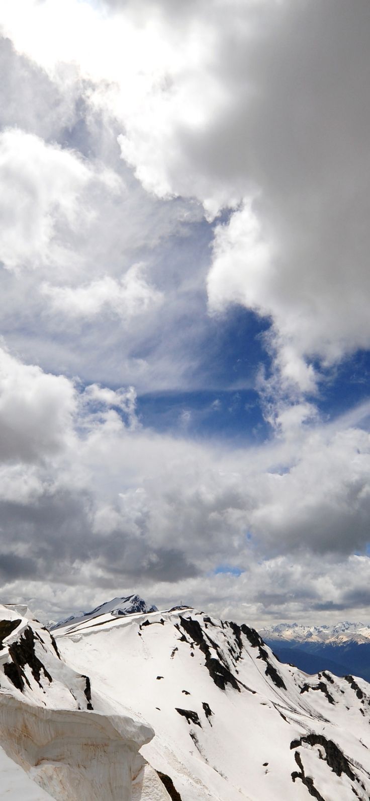 736x1592  Обои для телефона модные минимализм эстетика обои на телефон бич гёрл обои  фоны черные красные обои | Background, Wallpaper, Background images