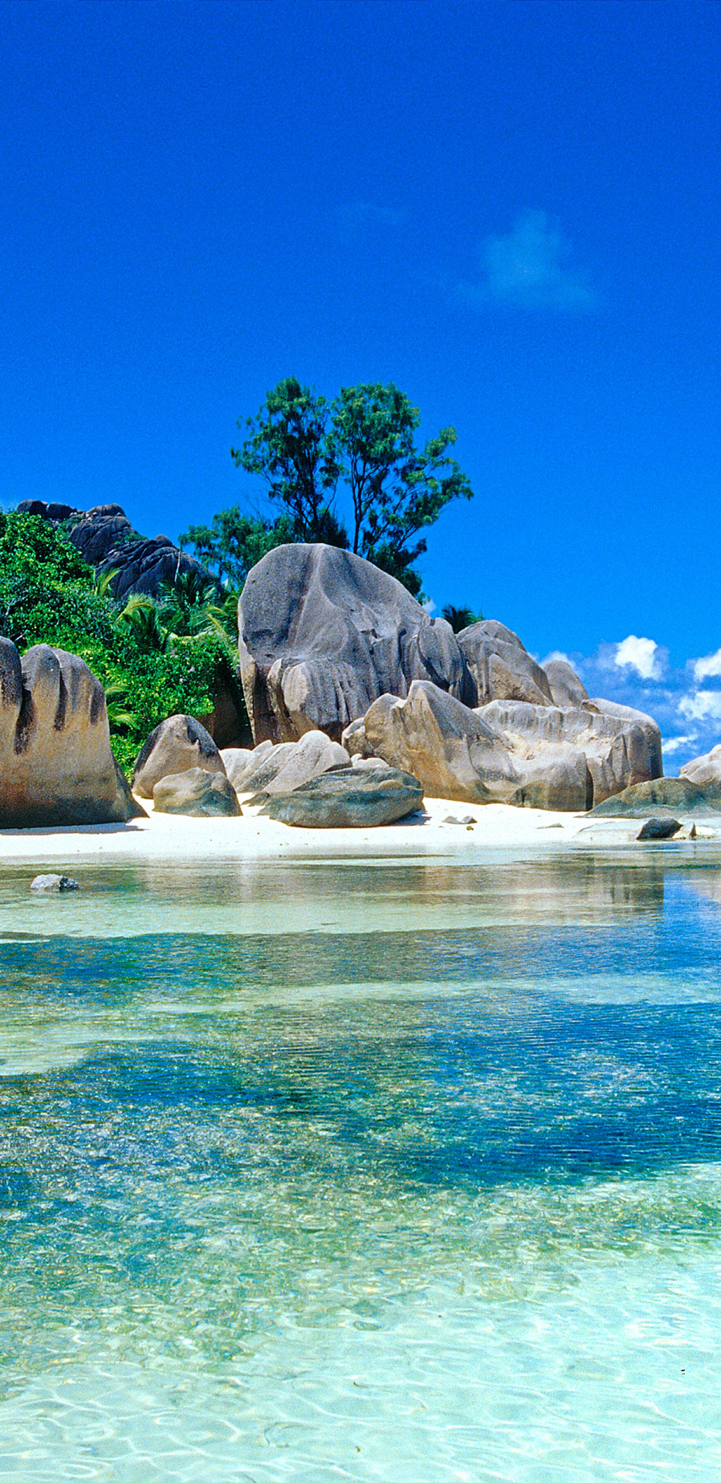 1440x2960  Download \"Seychelles\" wallpapers for mobile phone, free \"Seychelles\" HD  pictures