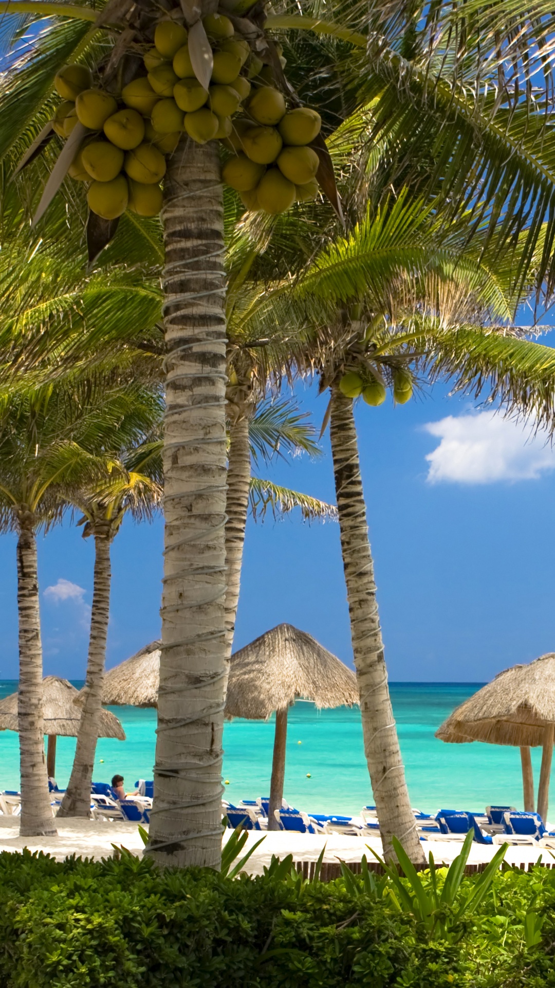 1080x1920  Сейшельские острова обои для Андроид Full HD, лучшие 1080x1920 заставки на  телефон | Akspic