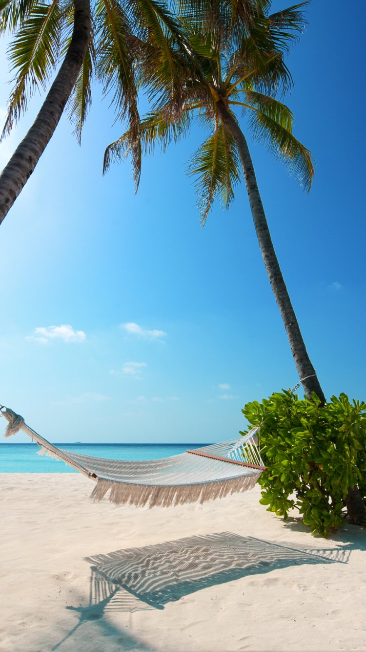 750x1334  Сейшельские острова обои для Андроид Full HD, лучшие 1080x1920 заставки на  телефон | Akspic