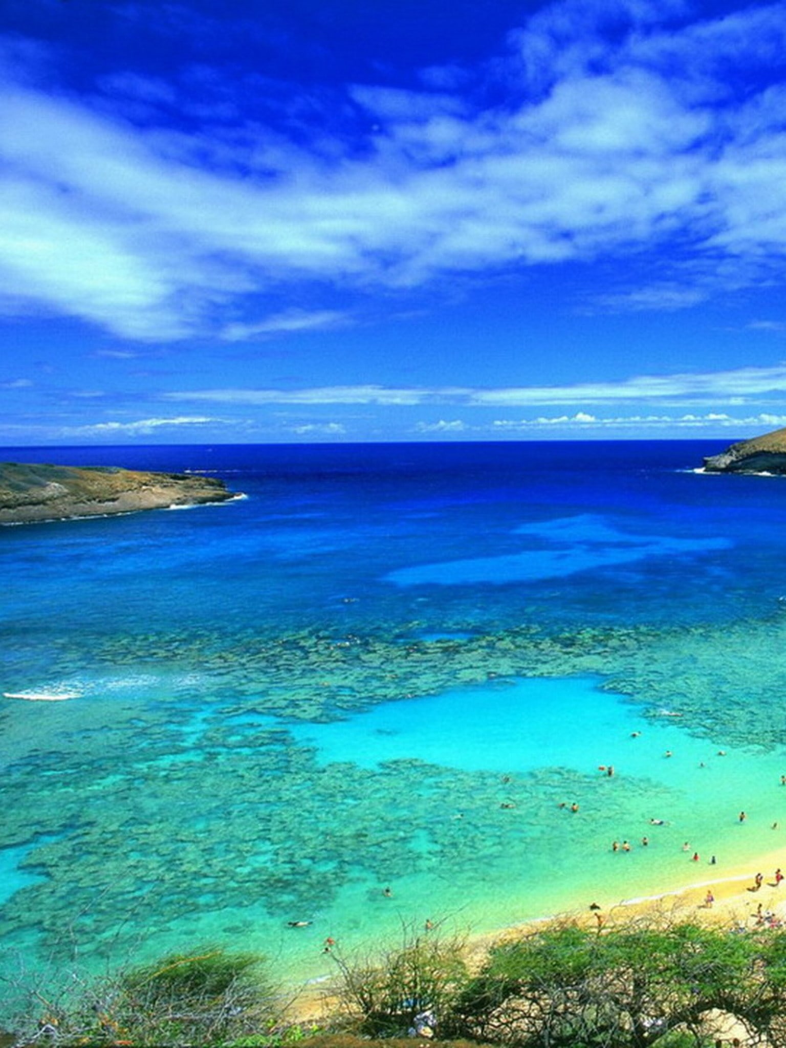 1536x2048  Плюсы да и только: почему Сейшелы пользуются популярностью среди туристов