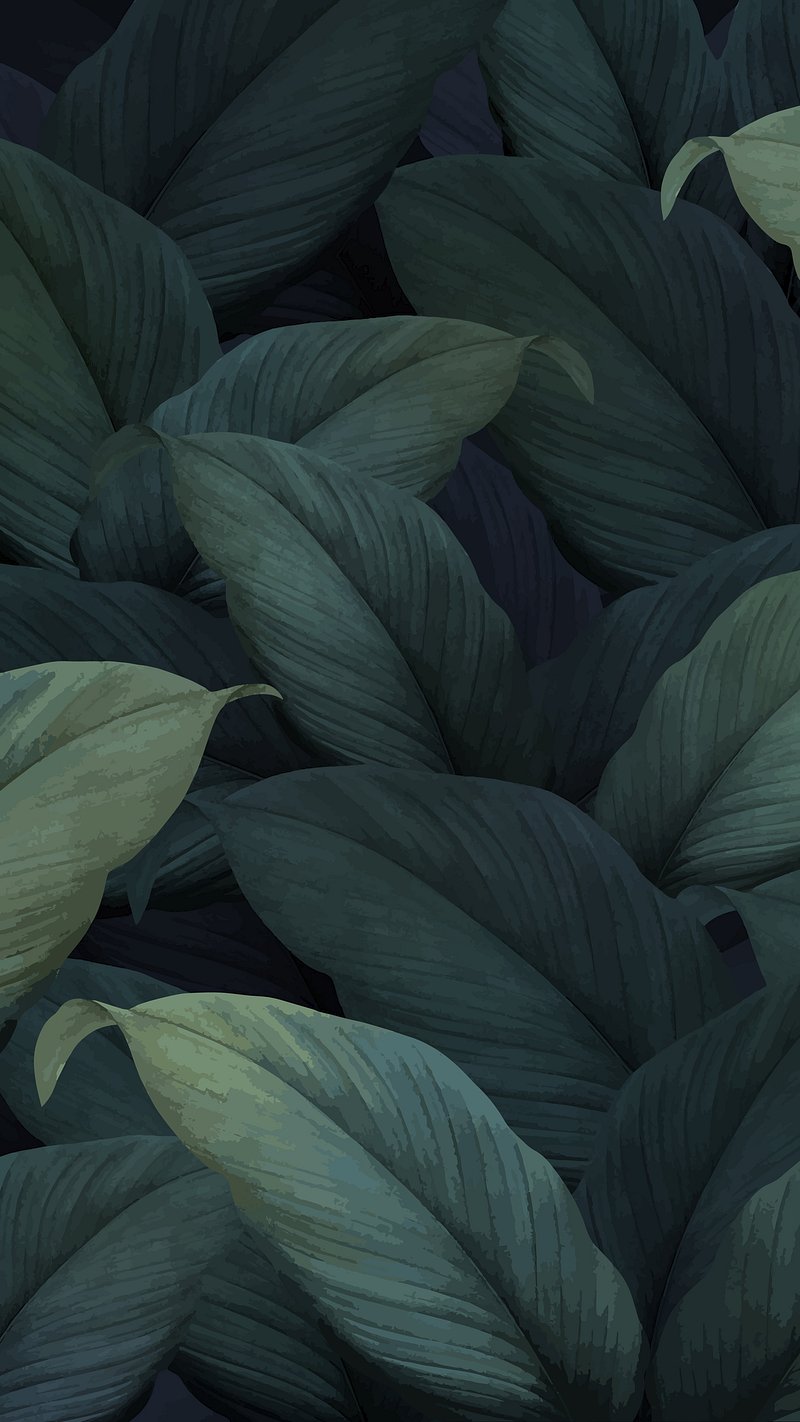 800x1422  100 000+ лучших фотографий обоев Samsung · 100% бесплатная загрузка · Pexels Stock Photos